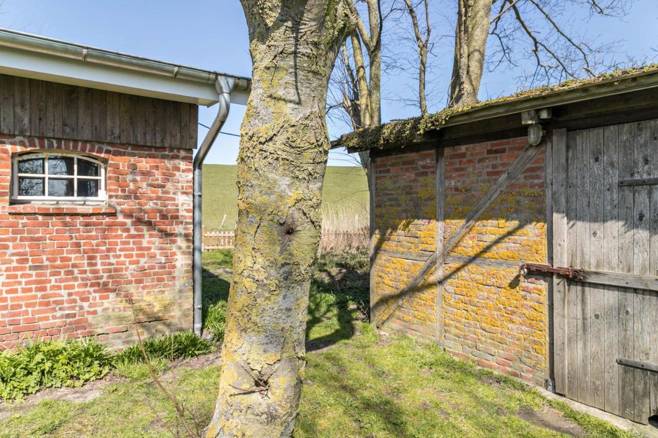 Appartement Deichgraf 1 à Friedrichskoog Extérieur photo